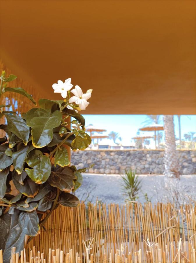 Mai Fuerteventura By Best Holidays Fuerteventura Apartment Corralejo Exterior photo